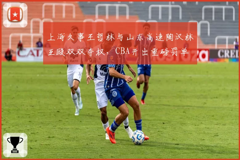 上海久事王哲林与山东高速陶汉林互殴双双夺权,CBA开出重磅罚单