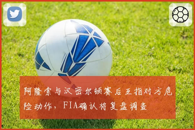 阿隆索与汉密尔顿赛后互指对方危险动作，FIA确认将复盘调查
