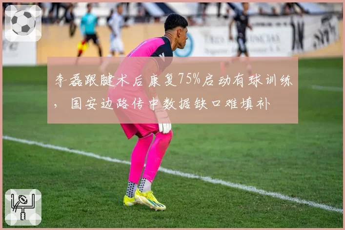 李磊跟腱术后康复75%启动有球训练,国安边路传中数据缺口难填补